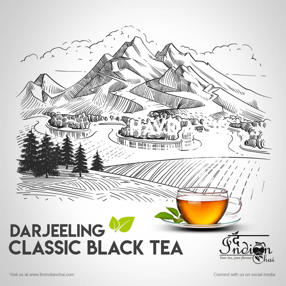 darjeeling-Classic-Black-Tea