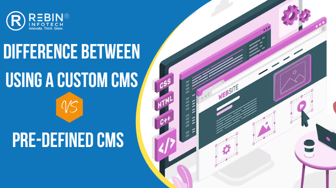Difference Between Using a Custom CMS and a Pre-Defined CMS